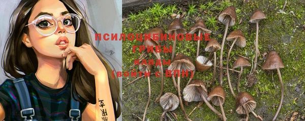 эйфоретик Кулебаки