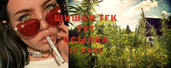эйфоретик Кулебаки