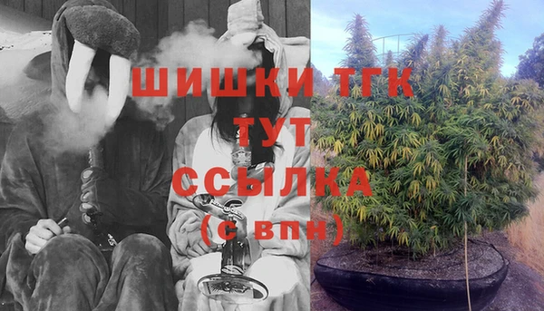 эйфоретик Кулебаки