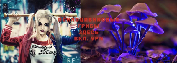 ПСИЛОЦИБИНОВЫЕ ГРИБЫ Куйбышев