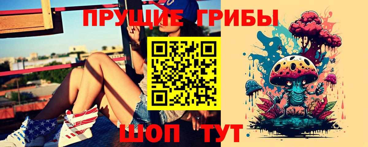 Тейково  Псилоцибиновые грибы GOLDEN TEACHER  Вход с VPN 